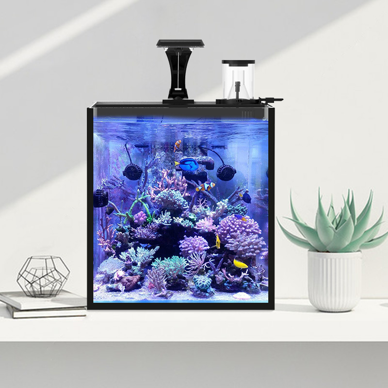 Ultra Clear Glass Mini Salt Wa - Marine Aquarium In Clearwater 리뷰 및 가격