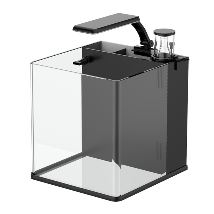Latest Model Clear Glass Mini  - Marine Aquarium In Clearwater 리뷰 및 가격