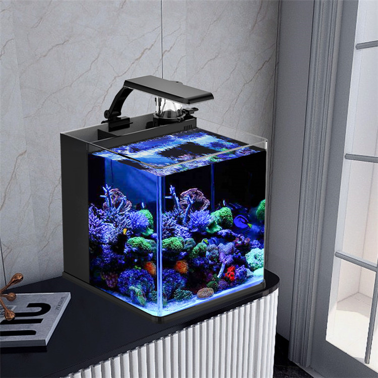 Latest Model Clear Glass Mini  - Marine Aquarium In Clearwater 리뷰 및 가격