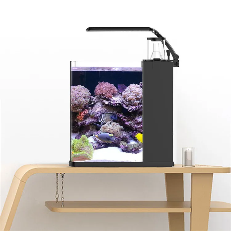 Latest Model Clear Glass Mini  - Marine Aquarium In Clearwater 리뷰 및 가격