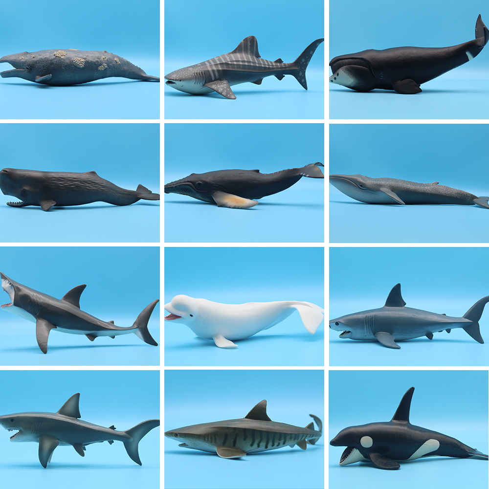 Ocean Sea Life Simulation Kill - Aquarium Marine Blue 리뷰 및 가격
