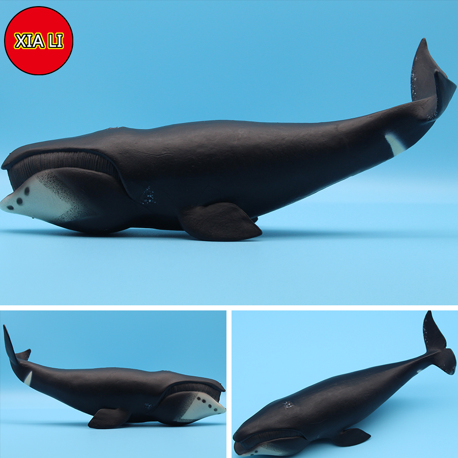 Ocean Sea Life Simulation Kill - Aquarium Marine Blue 리뷰 및 가격
