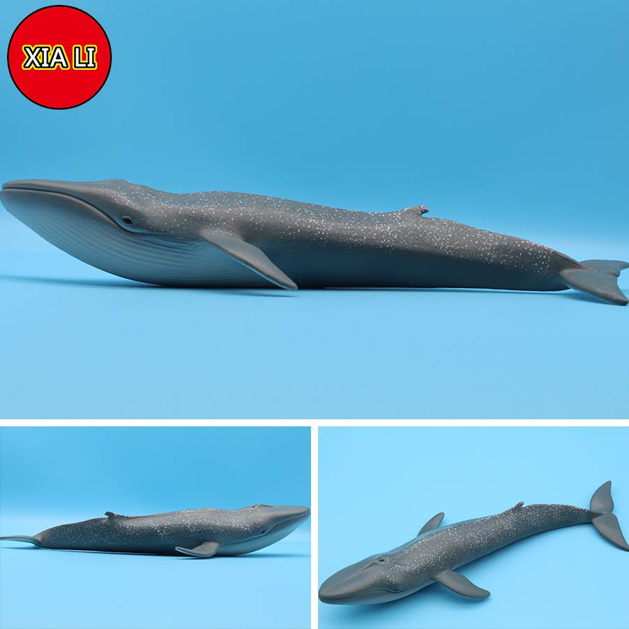 Ocean Sea Life Simulation Kill - Aquarium Marine Blue 리뷰 및 가격