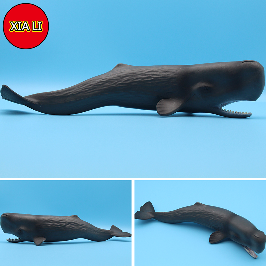 Ocean Sea Life Simulation Kill - Aquarium Marine Blue 리뷰 및 가격
