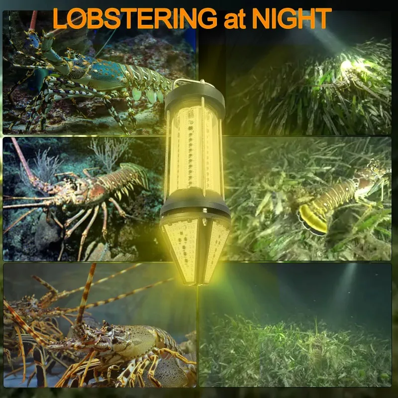 NS Green Blue White Yellow Out - Aquarium Marine Blue 리뷰 및 가격