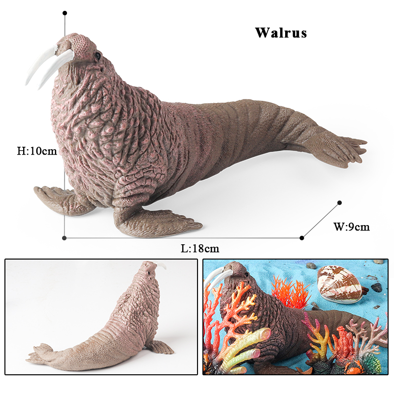 Oenux New Sea Life Seal Sea li - Aquarium Marine Blue 리뷰 및 가격