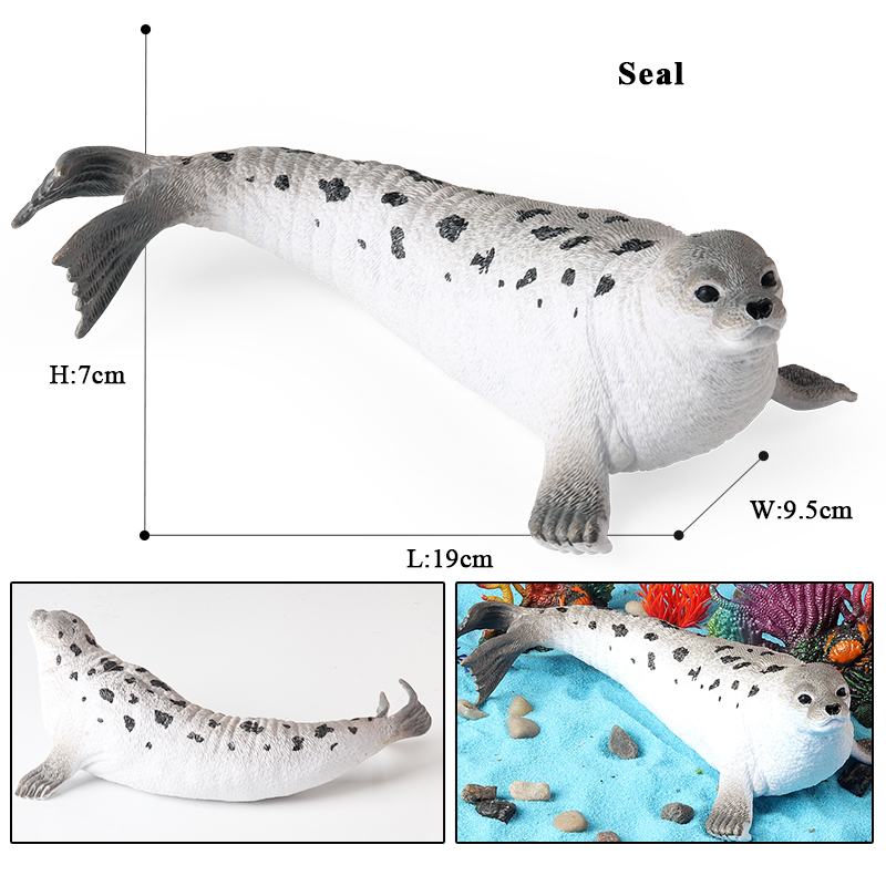Oenux New Sea Life Seal Sea li - Aquarium Marine Blue 리뷰 및 가격