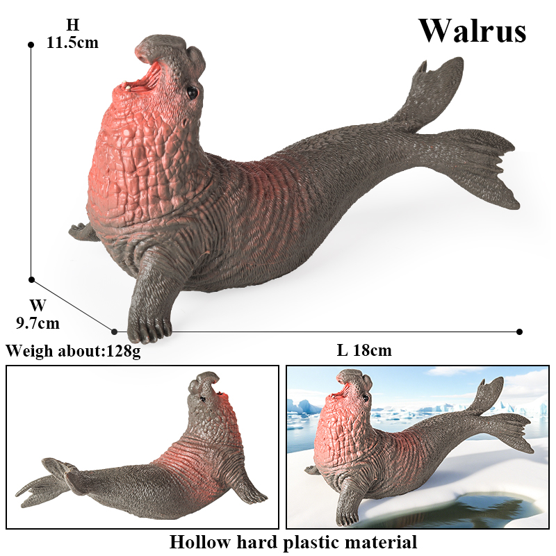 Oenux New Sea Life Seal Sea li - Aquarium Marine Blue 리뷰 및 가격