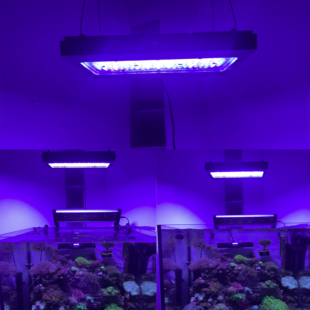 A8SE pro II MAX Blue 240W Mari - Aquarium Marine Blue 리뷰 및 가격