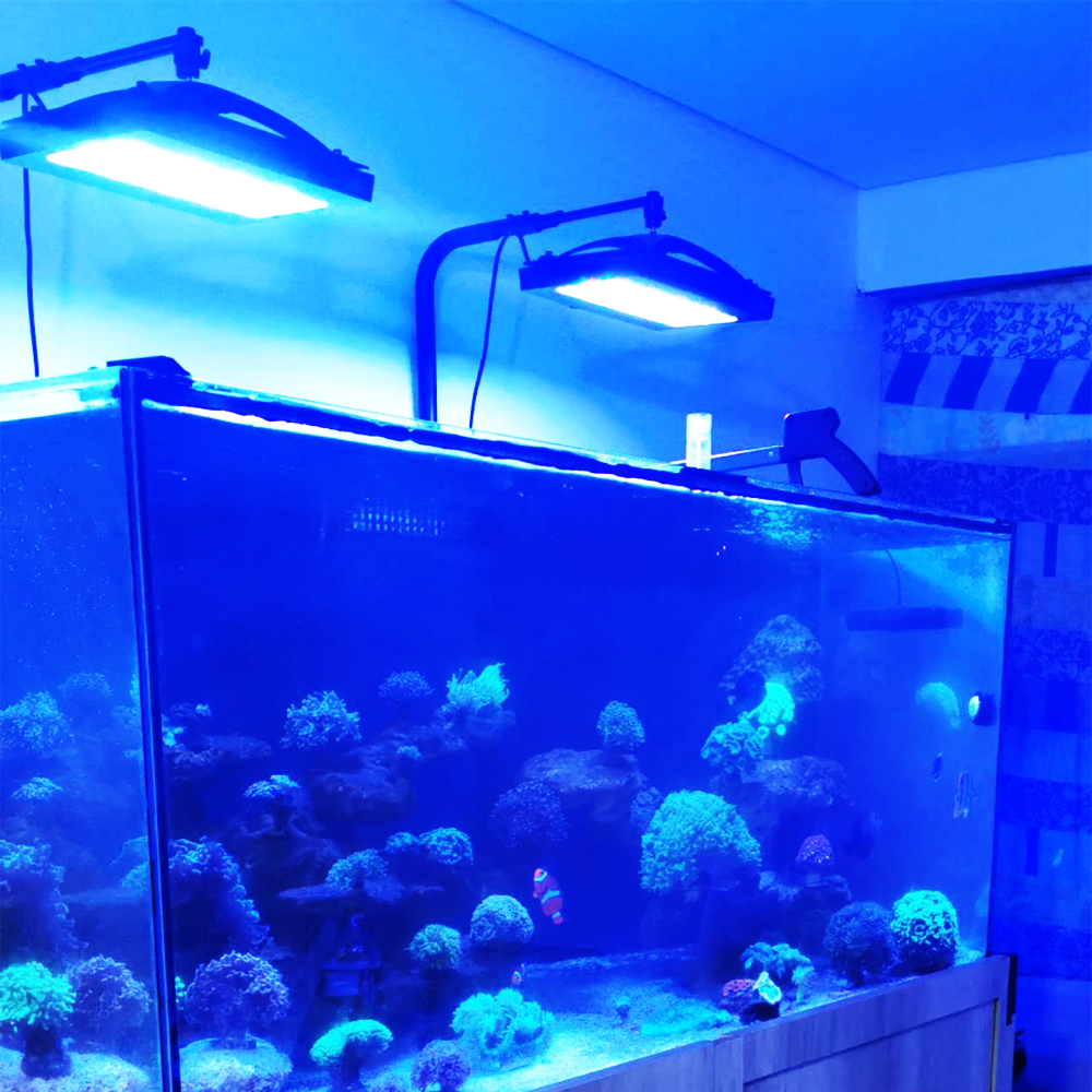 A8SE pro II MAX Blue 240W Mari - Aquarium Marine Blue 리뷰 및 가격