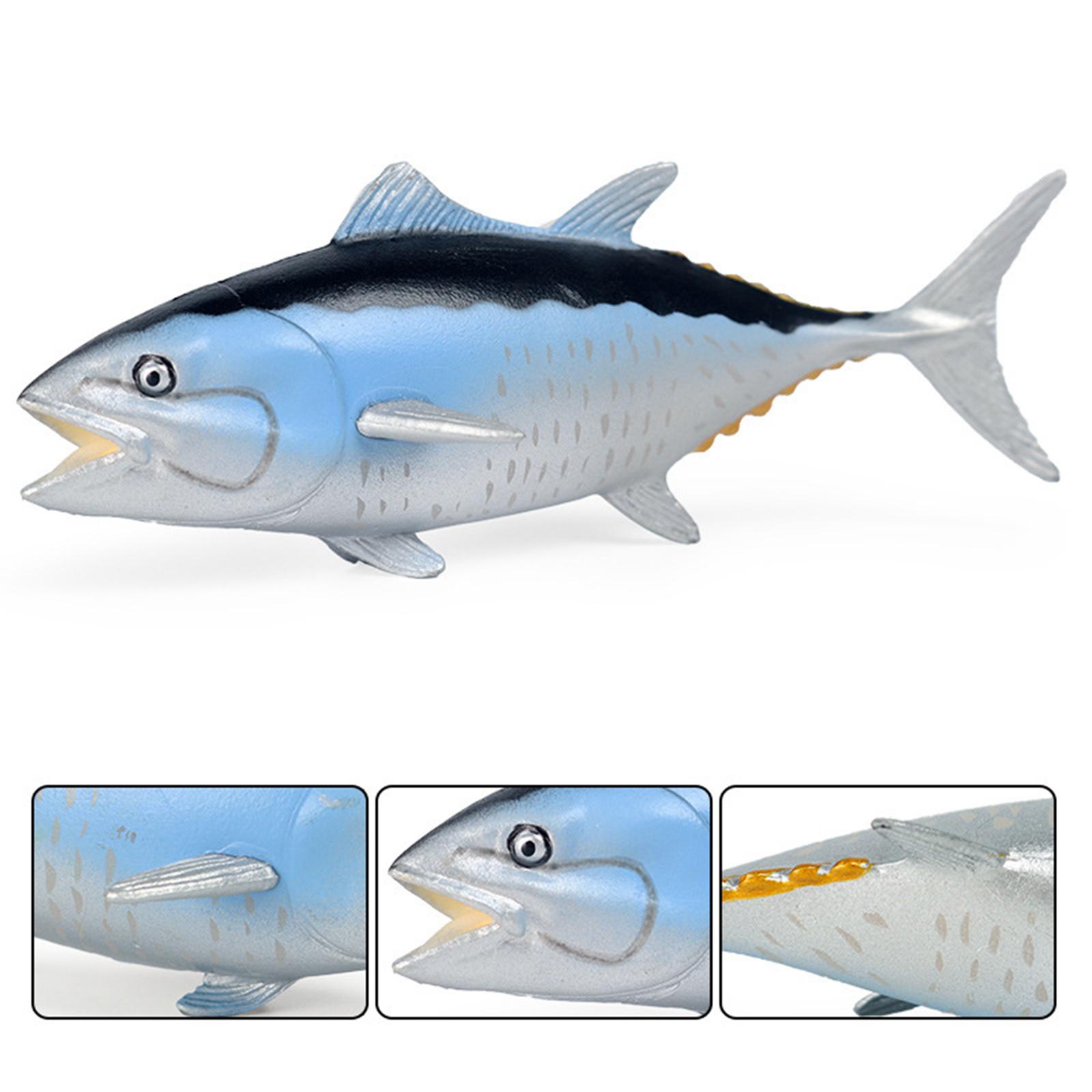 Simulated Marine Life Model Pl - Marine Zoo 리뷰 및 가격