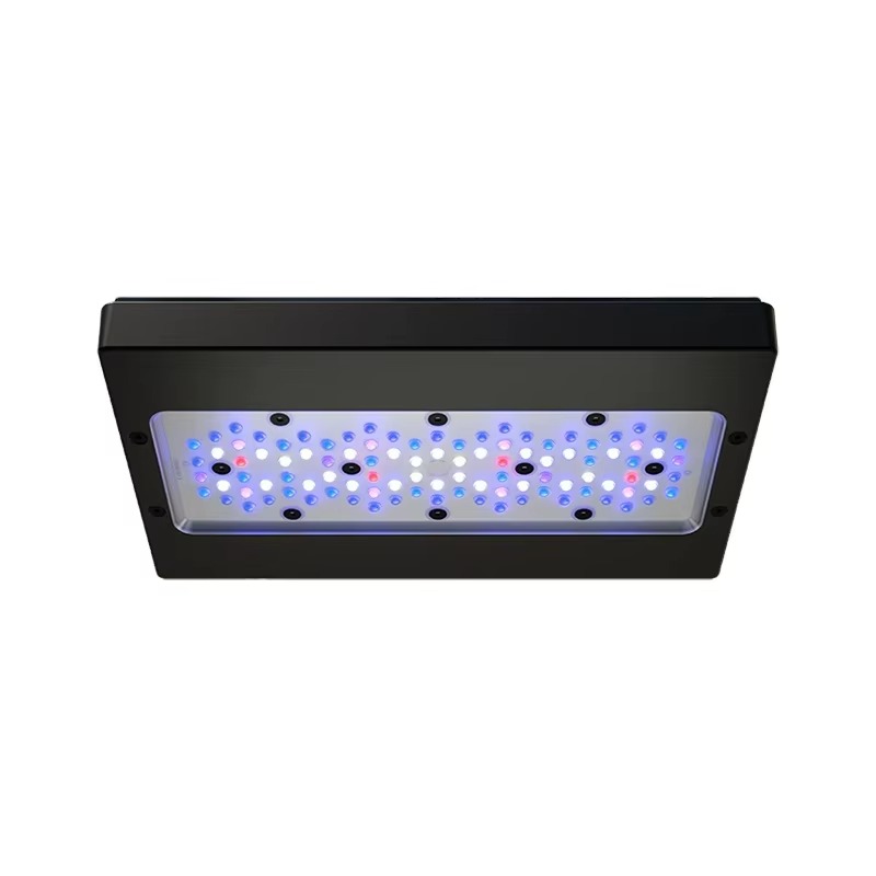 A8 Pro Blue 215W AC 110-240V W - Aquarium Marine Blue 리뷰 및 가격