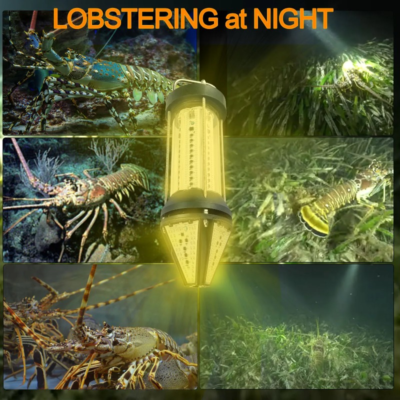 NS Green Blue White Yellow Out - Aquarium Marine Blue 리뷰 및 가격