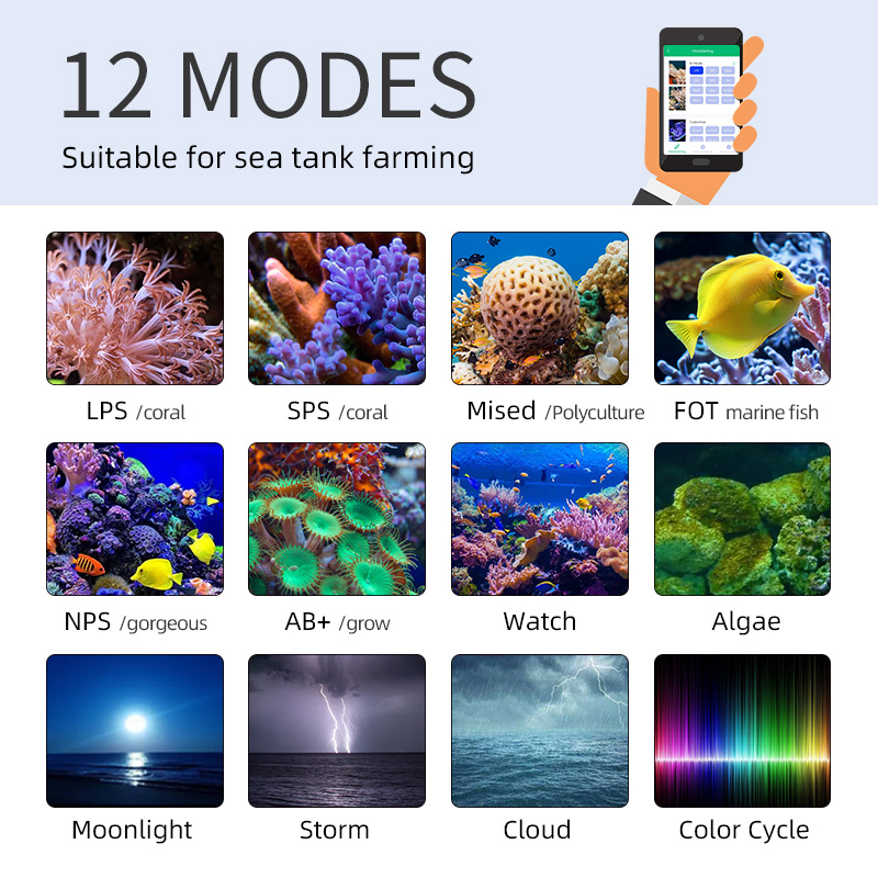 ZXY Hot Sale WEEKAQUA Z250 Z40 - Aquarium Marine Blue 리뷰 및 가격
