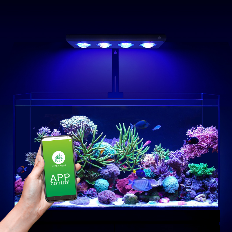 ZXY Hot Sale WEEKAQUA Z250 Z40 - Aquarium Marine Blue 리뷰 및 가격