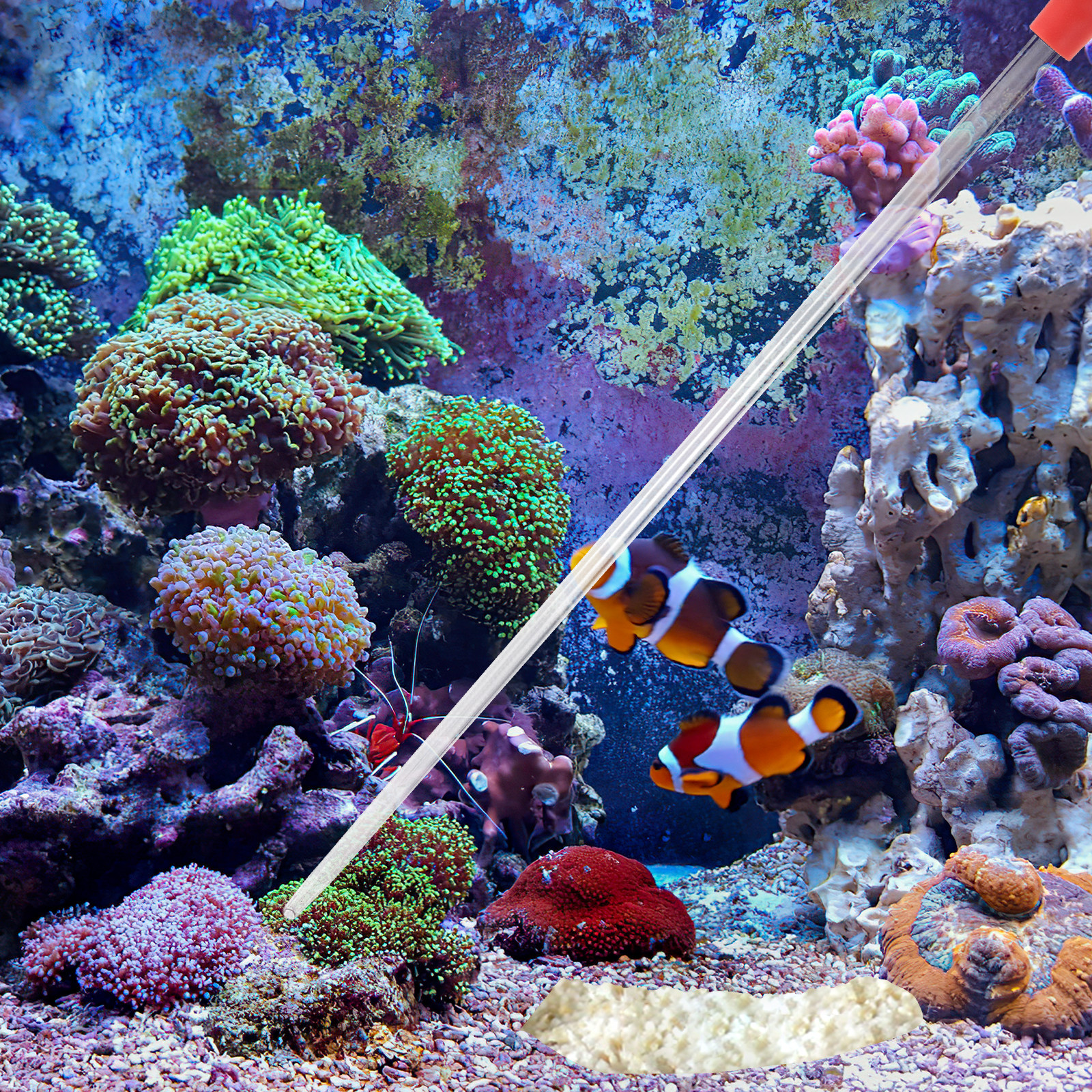 40Cm Coral Feeding Tool Acryli - Marine Aquarium Eel 리뷰 및 가격