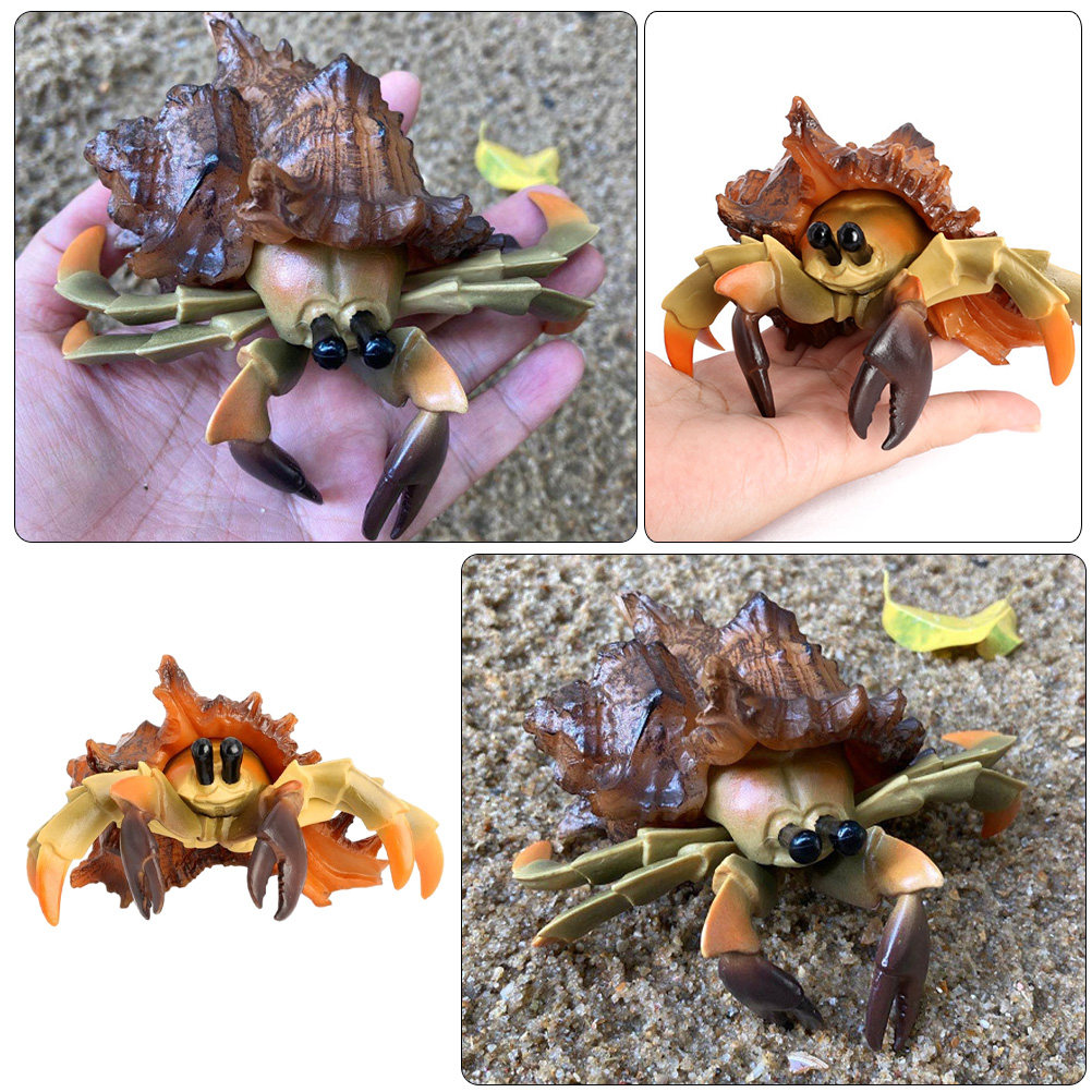 Simulation Hermit Crab Artific - Marine Aquarium Europe 리뷰 및 가격