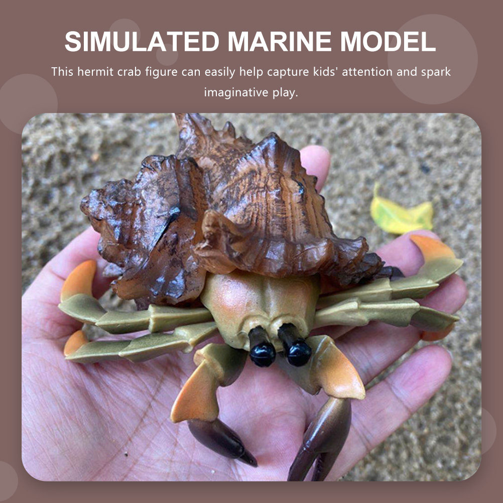 Simulation Hermit Crab Artific - Marine Aquarium Europe 리뷰 및 가격