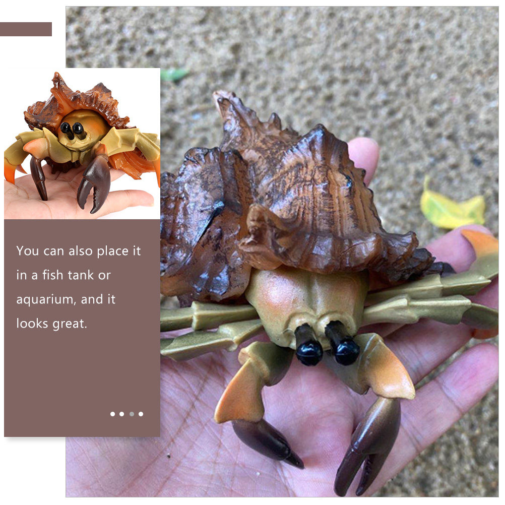 Simulation Hermit Crab Artific - Marine Aquarium Europe 리뷰 및 가격