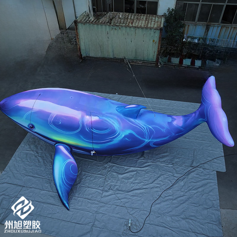Inflatable blue whale, used as - Aquarium Marine Blue 리뷰 및 가격