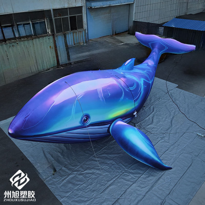 Inflatable blue whale, used as - Aquarium Marine Blue 리뷰 및 가격