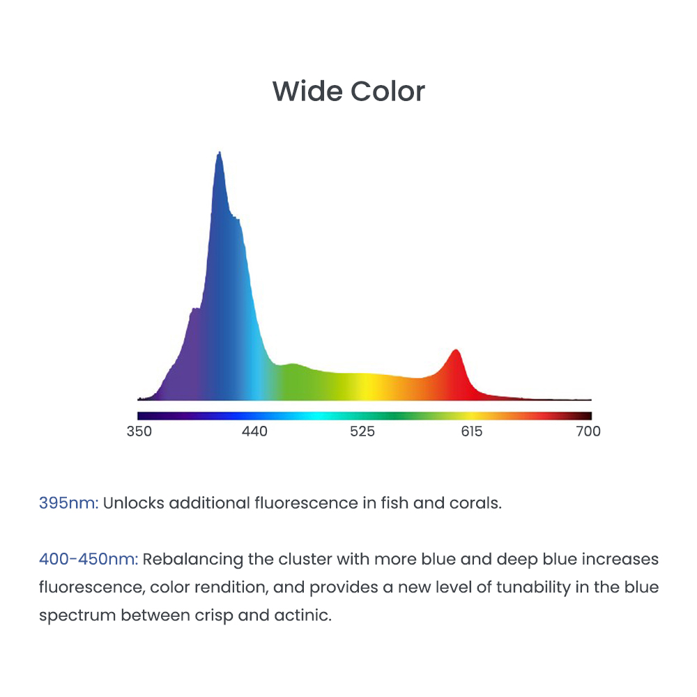AIPAI A8 SE II MAX/Blue 240W F - Aquarium Marine Blue 리뷰 및 가격