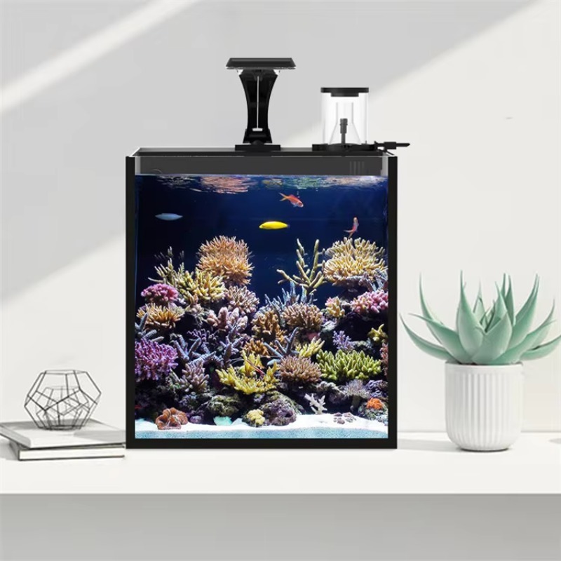 Ultra Clear Glass Mini Salt Wa - Marine Aquarium In Clearwater 리뷰 및 가격