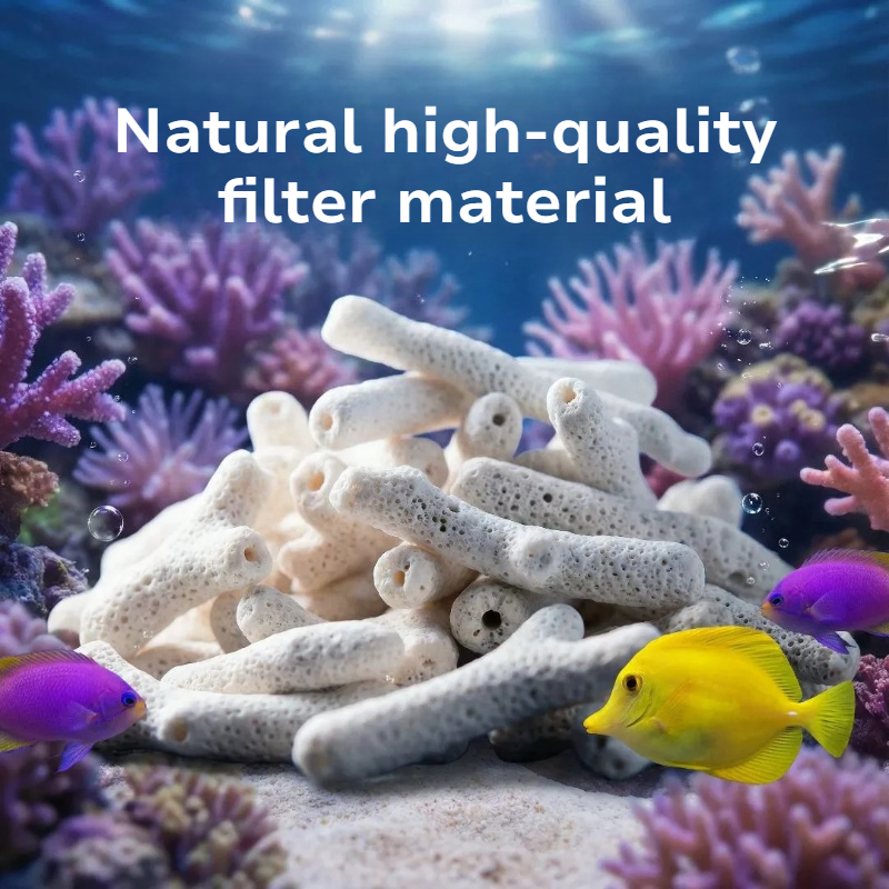 Natural Coral Bone Filter Medi - Calcium Reactor Media 리뷰 및 가격