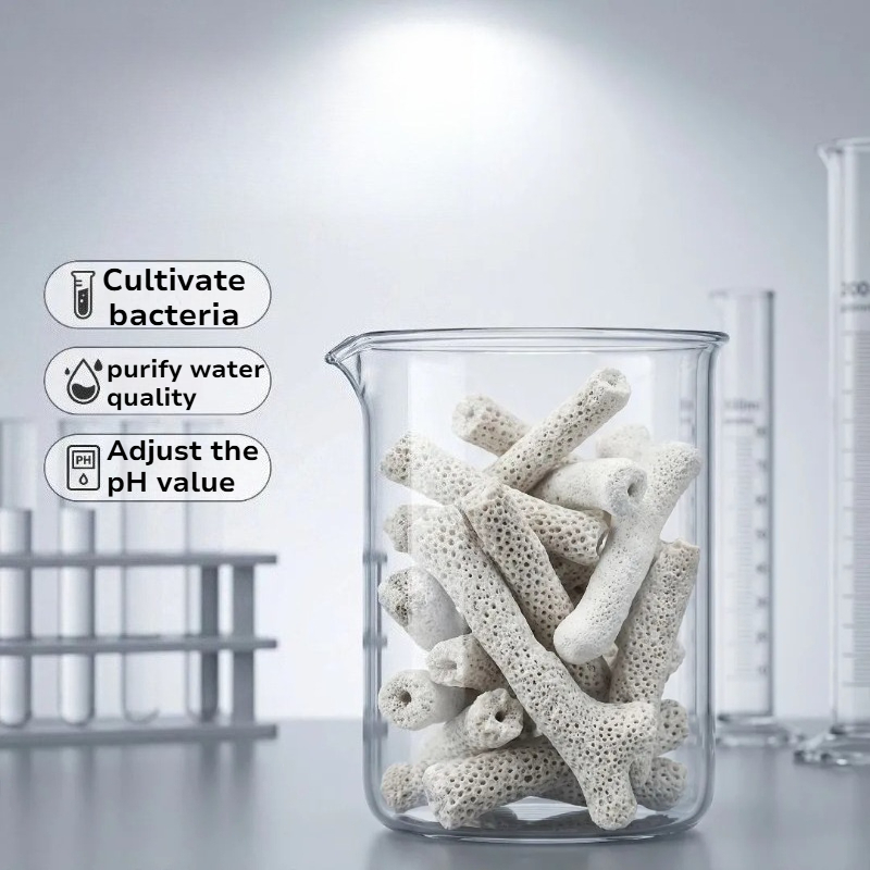 Natural Coral Bone Filter Medi - Calcium Reactor Media 리뷰 및 가격