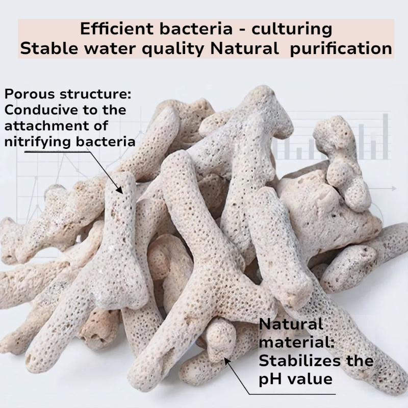 Natural Coral Bone Filter Medi - Calcium Reactor Media 리뷰 및 가격