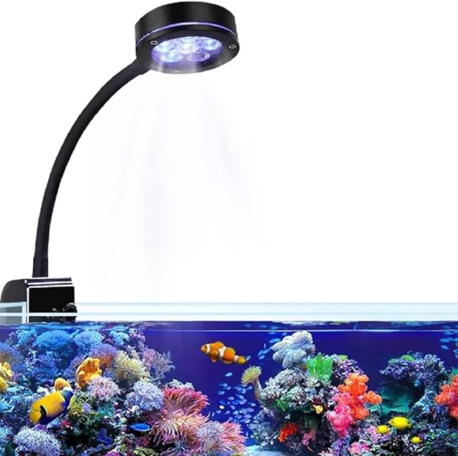 Aquarium LED Coral Reef Light  - Aquarium Marine Blue 리뷰 및 가격