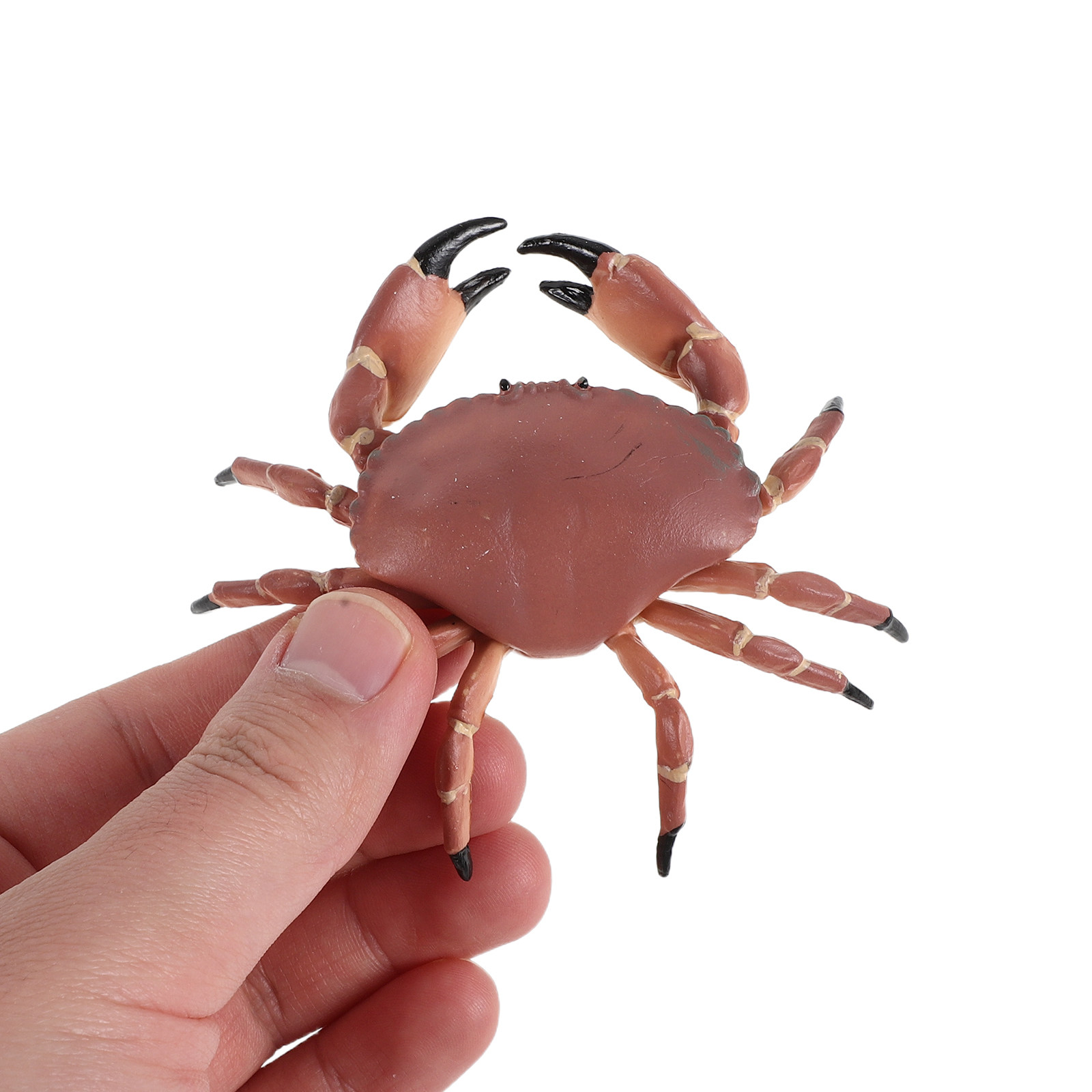 3Pcs Realistic Plastic Crab Fi - Marine Aquarium Europe 리뷰 및 가격
