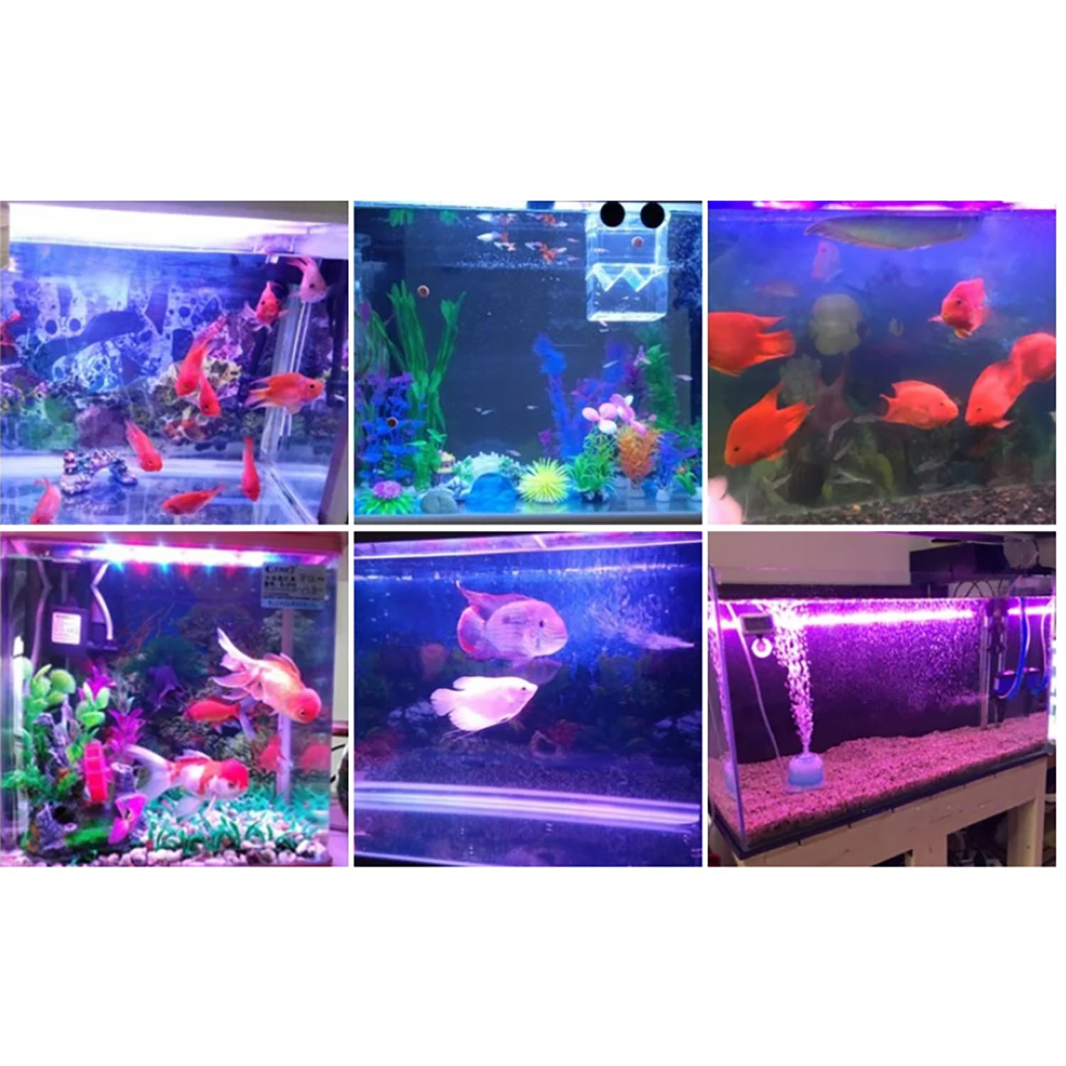 50W 60W 70W 100W RGB 26-28V Hi - Aquarium Marine Blue 리뷰 및 가격