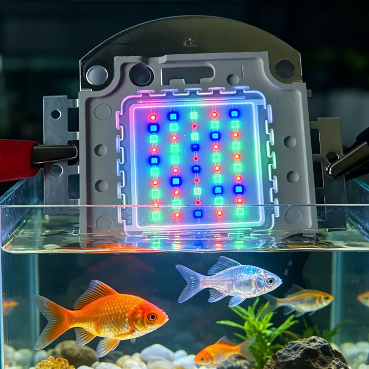 50W 60W 70W 100W RGB 26-28V Hi - Aquarium Marine Blue 리뷰 및 가격