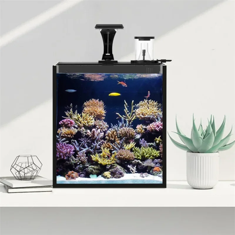 Hot sales Ultra Clear Glass Mi - Marine Aquarium In Clearwater 리뷰 및 가격
