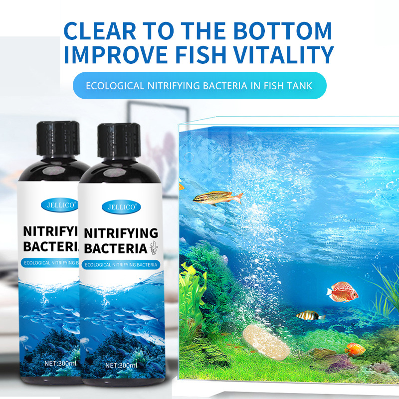 300ml Nitrifying Bacteria Aqua - Marine Aquarium In Clearwater 리뷰 및 가격