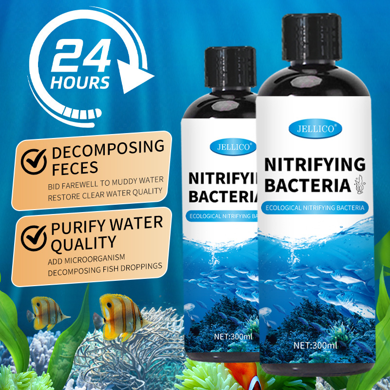 300ml Nitrifying Bacteria Aqua - Marine Aquarium In Clearwater 리뷰 및 가격