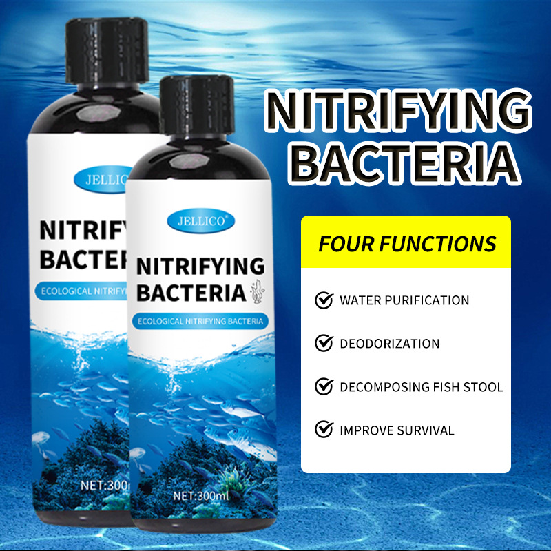 300ml Nitrifying Bacteria Aqua - Marine Aquarium In Clearwater 리뷰 및 가격