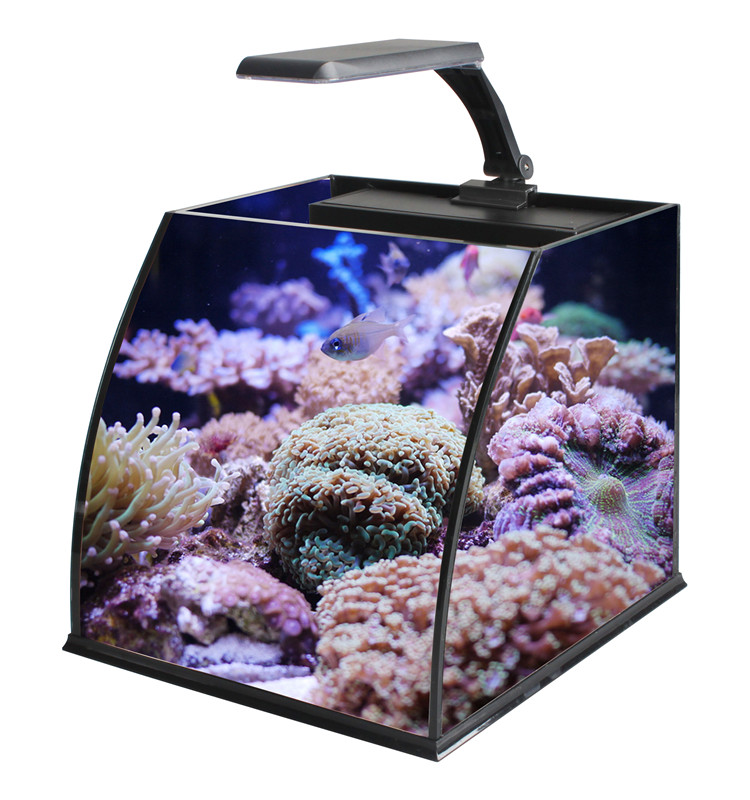 Ultra Clear Glass Mini Salt Wa - Marine Aquarium In Clearwater 리뷰 및 가격