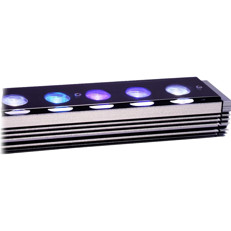 Reef Emitting Diode Aquarium 6 - Aquarium Marine Blue 리뷰 및 가격