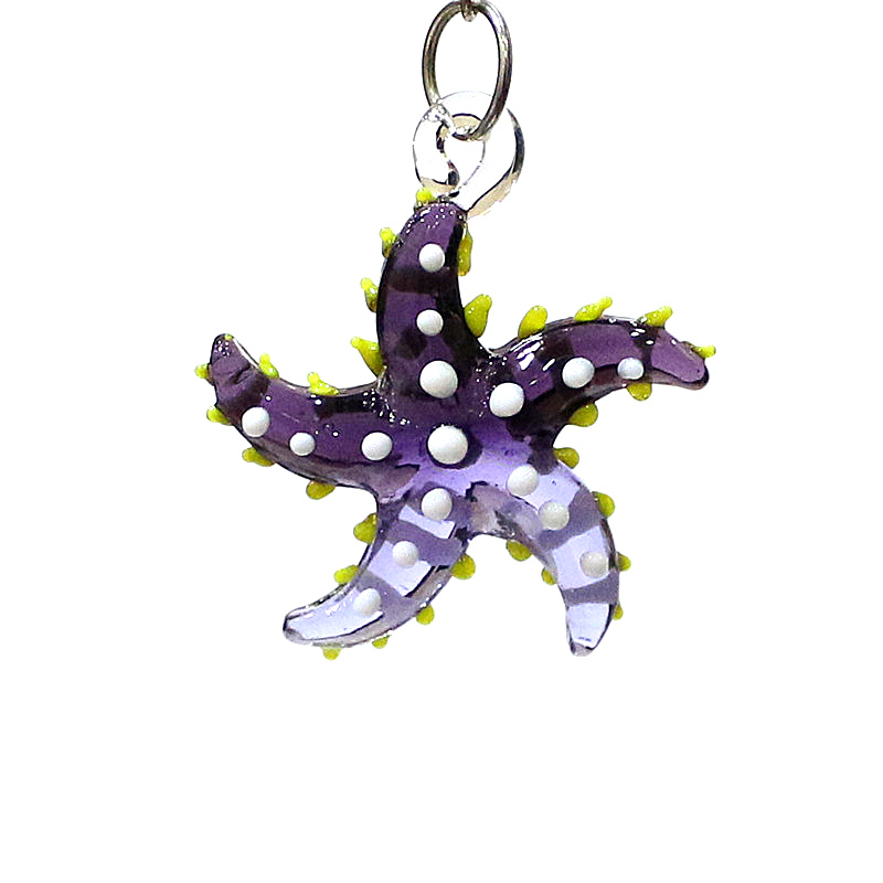 Colorful Mini Marine Animal St - Marine Aquarium Europe 리뷰 및 가격