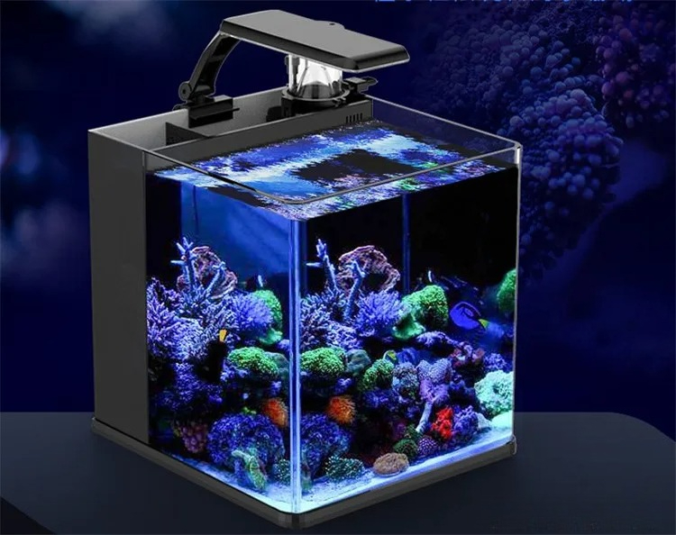 Ultra Clear Glass Mini Salt Wa - Marine Aquarium In Clearwater 리뷰 및 가격