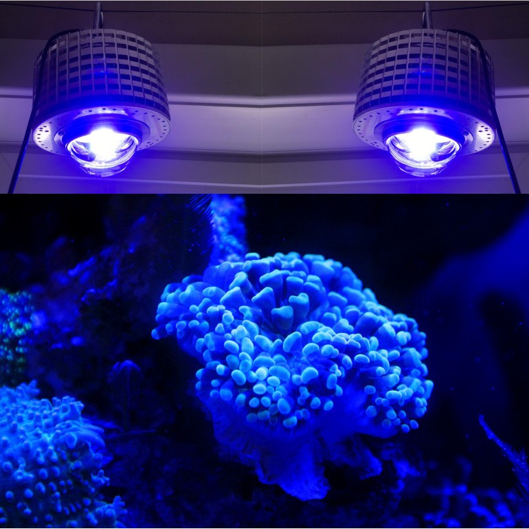 LED Aquarium Lighting Full Spe - Aquarium Marine Blue 리뷰 및 가격