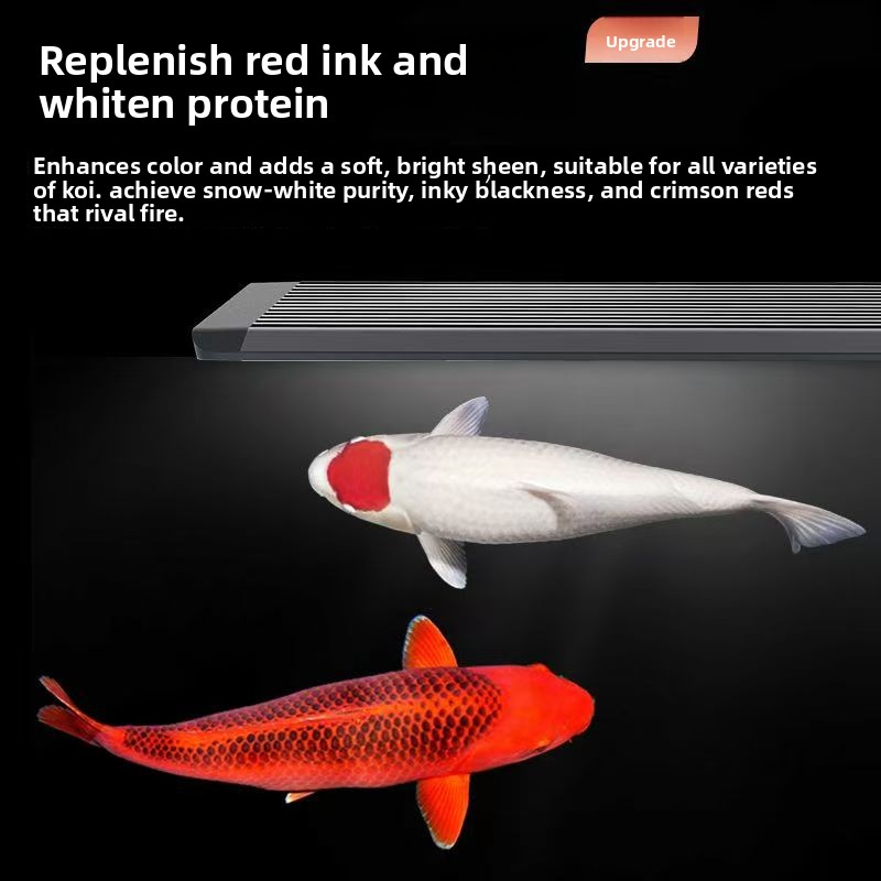 LED Aquarium Light for Fish Ta - Marine Aquarium In Clearwater 리뷰 및 가격
